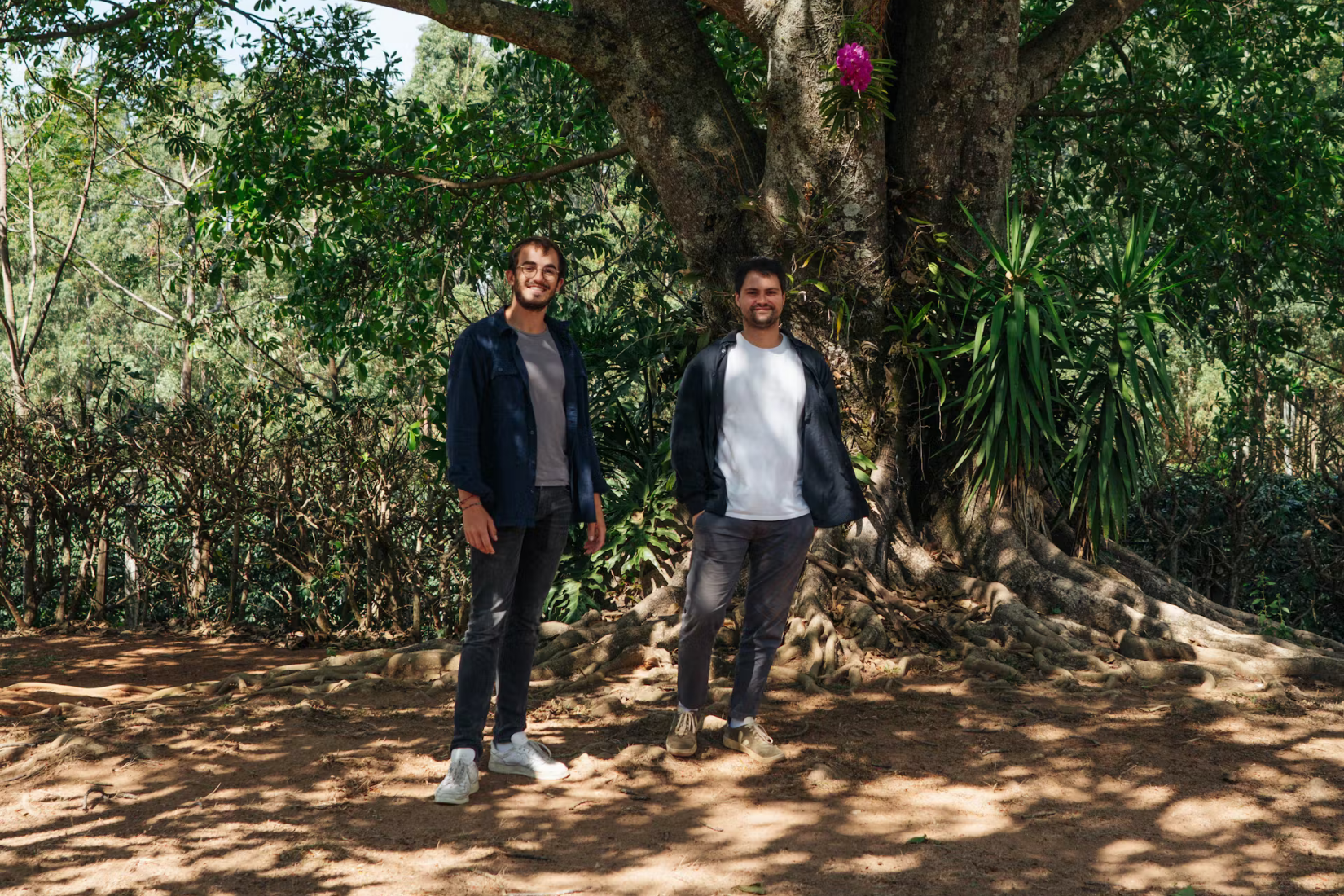 2Brasilien_-_Mundo_Novo_Kaffee