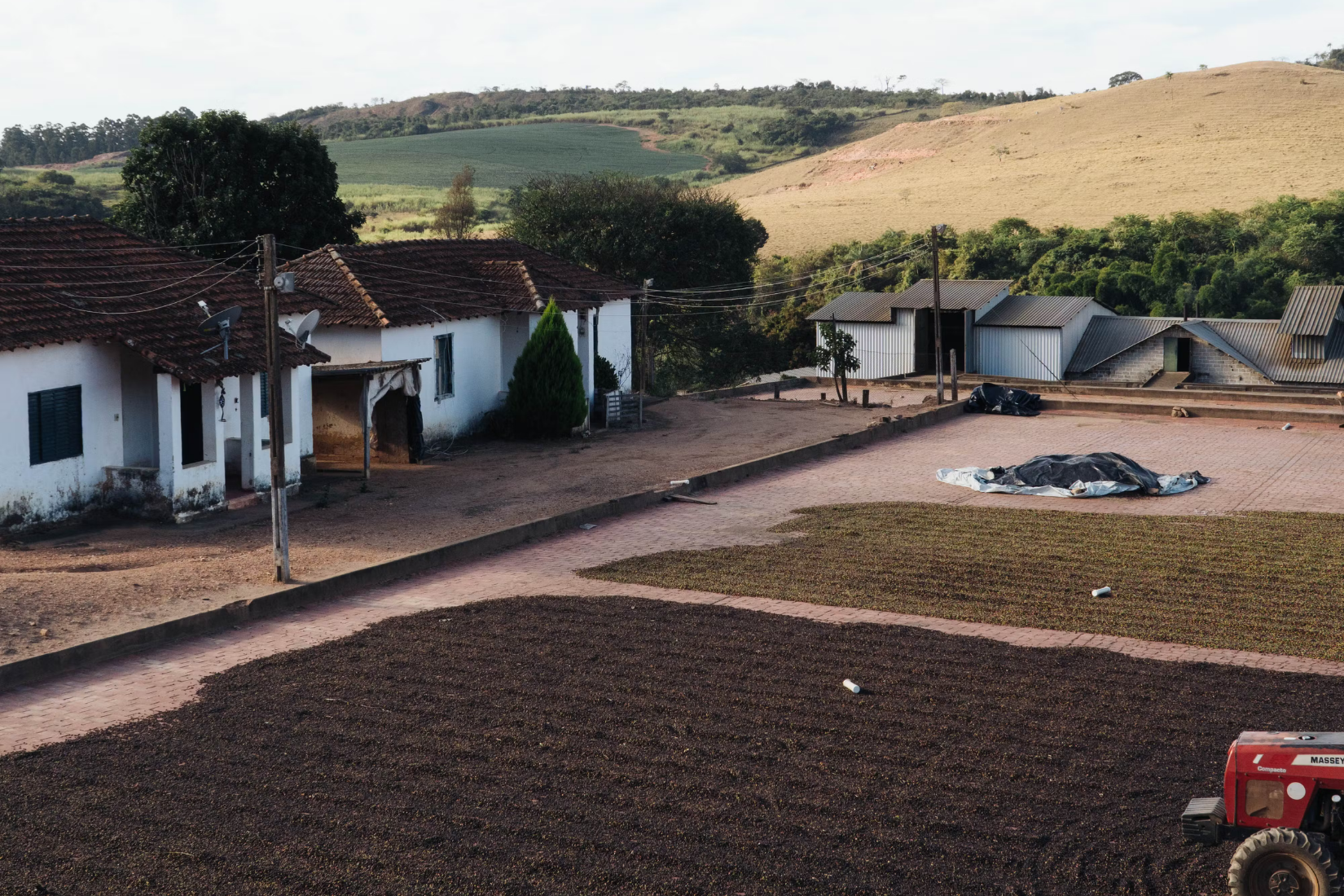 5Brasilien_-_Mundo_Novo_Kaffee