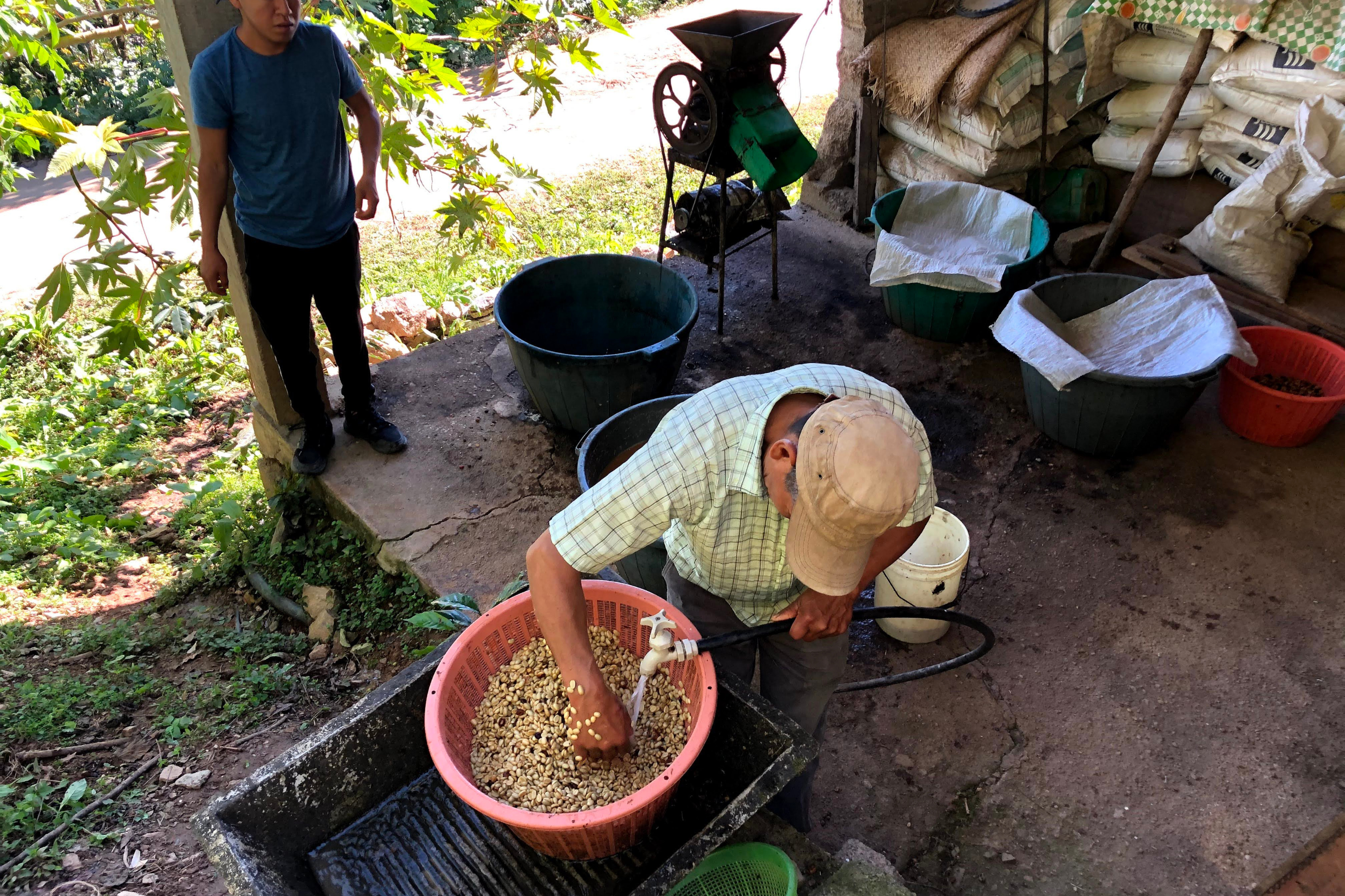 6Mexico_Cafe_El_Zapoteco_Washed