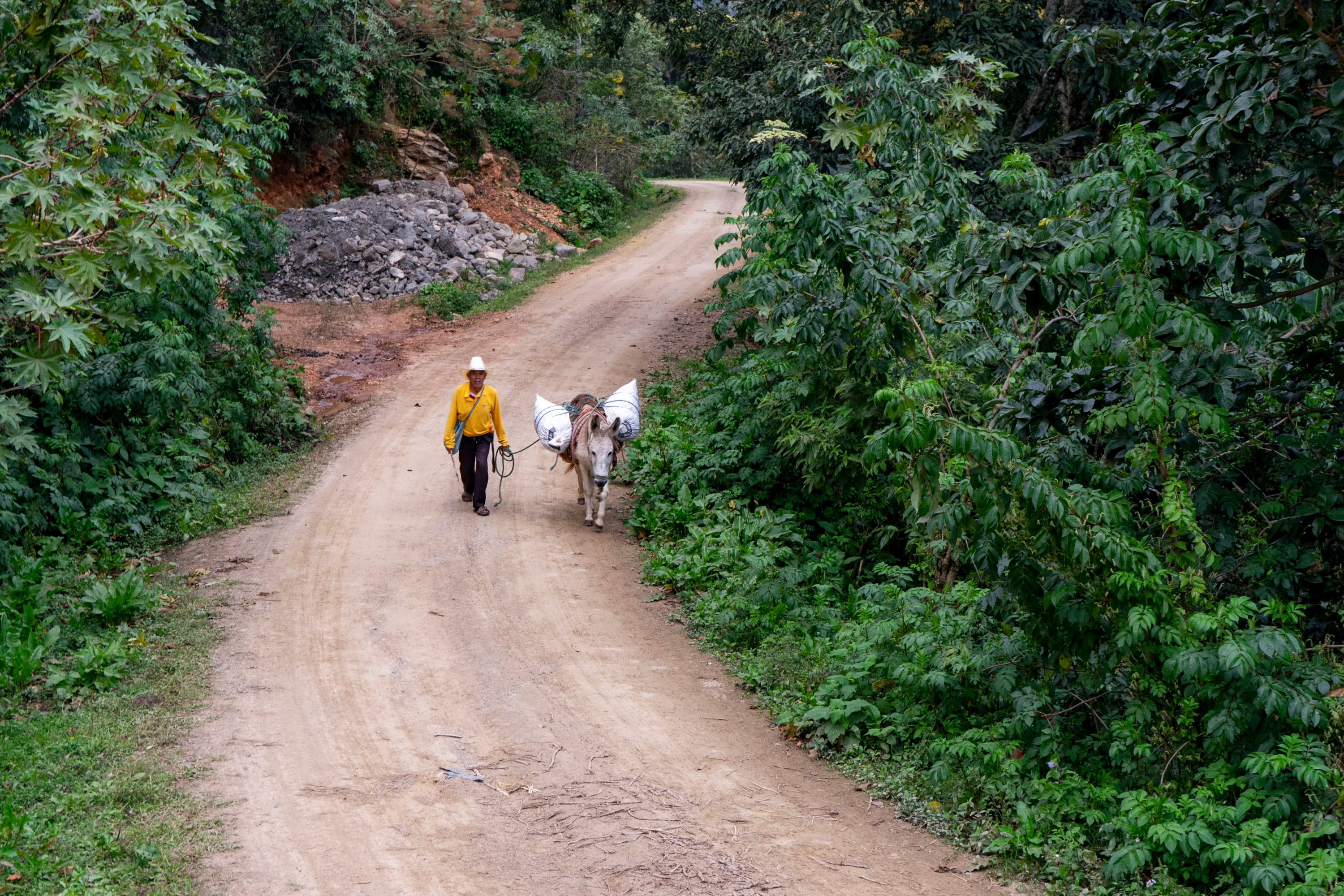 8Mexico_Cafe_El_Zapoteco_Washed